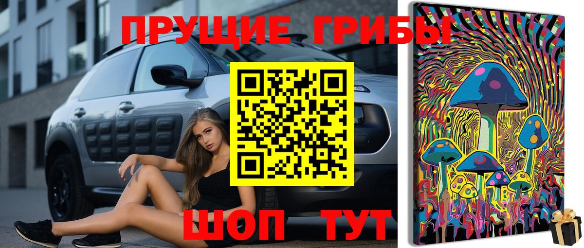 Гурьевск  Псилоцибиновые грибы Cubensis  Вход с VPN  Псилоцибиновые грибы Psilocybine cubensis 