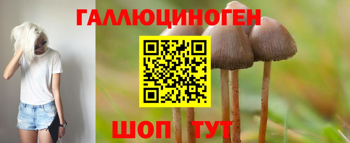 ТГК  Вход с VPN  Гурьевск  Гашиш  Бошки Шишки  Cocaine  Мефедрон  